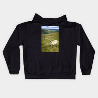 Black Face Sheep on the North York Moors Kids Hoodie